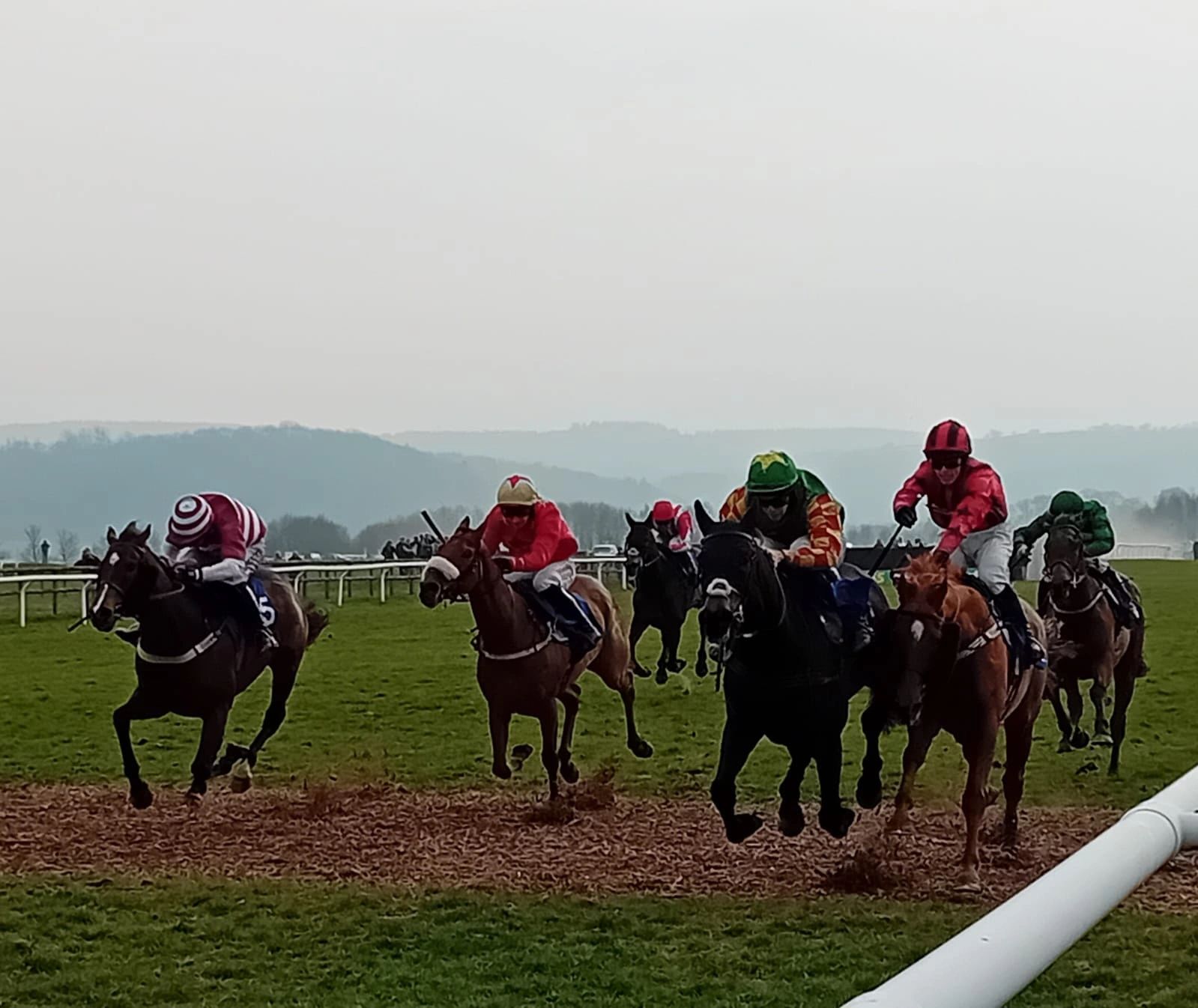 Cheltenham competition
